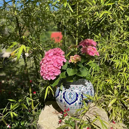 Florence - Mas Saint Louis - Piscine Chauffee Bed & Breakfast *