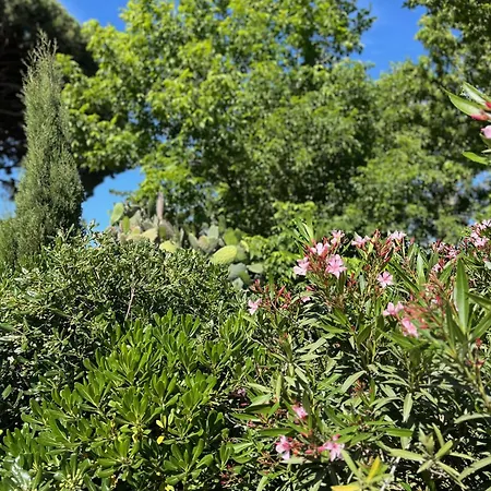 Bed & Breakfast Florence - Mas Saint Louis - Piscine Chauffee Aigues-Mortes