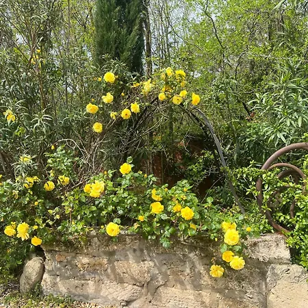 Florence - Mas Saint Louis - Piscine Chauffee Bed & Breakfast Aigues-Mortes