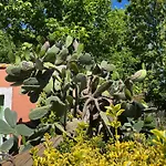 Bed and breakfast Florence - Mas Saint Louis Aigues-Mortes