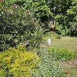 Bed and Breakfast Florence - Piscine Chauffee - Mas Saint Louis 3*