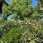 Bed and breakfast Florence - Mas Saint Louis Aigues-Mortes