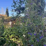 Bed and breakfast Florence - Mas Saint Louis 3*