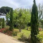 Florence - Mas Saint Louis Bed and breakfast