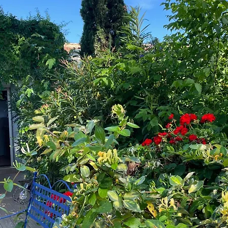 住宿加早餐酒店 Florence - Piscine Chauffee - Mas Saint Louis 3*