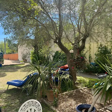 Florence - Mas Saint Louis