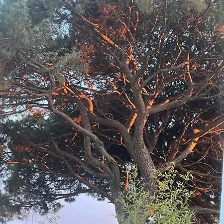 Florence - Mas Saint Louis 4*