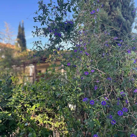 Bed & Breakfast Florence - Mas Saint Louis 4*