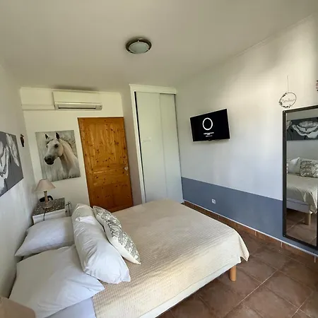 Florence - Piscine Chauffée - Mas Saint Louis 3*