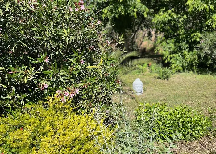 Frühstückspension Florence - Piscine Chauffee - Mas Saint Louis 4*