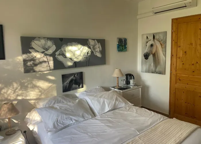 Florence - Piscine Chauffee - Mas Saint Louis 4* Aigues-Mortes