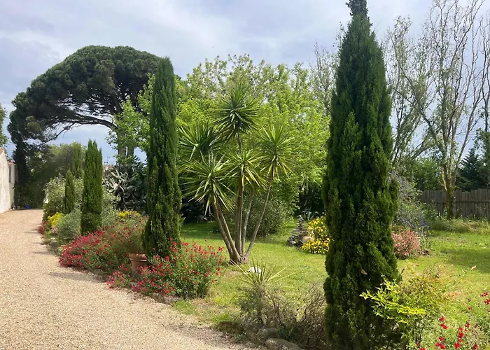 Florence - Piscine Chauffee - Mas Saint Louis Bed & Breakfast